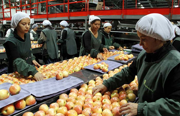 Sumagestion Limitada