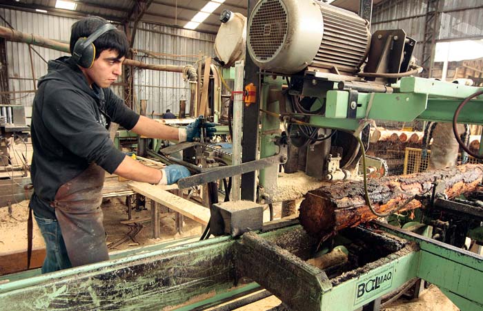 Sumagestion Limitada